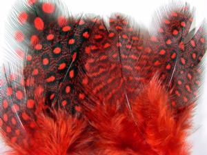 Guinea Fowl Hackles [Economy Pack]