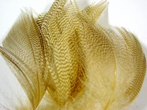 Imitation Lemon feather (Mandarin) [Economy Pack]