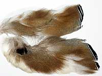 Mandarin Wood Duck Complete Patch