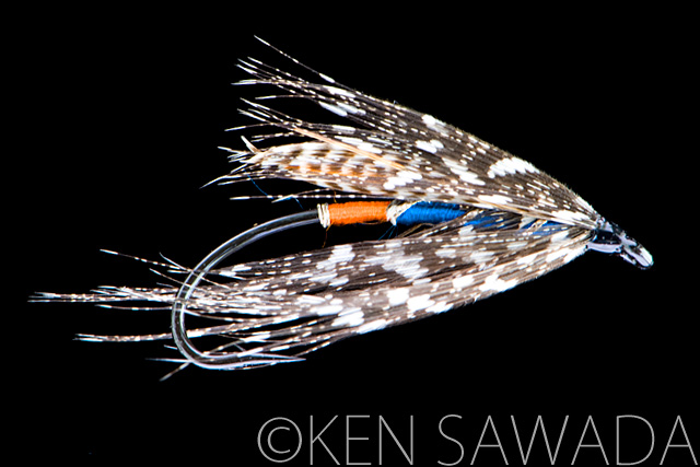 Guinea Fly