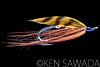 Spring Spey