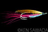Claret Wasp