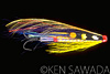 Firefly