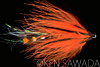 Fishing Fire