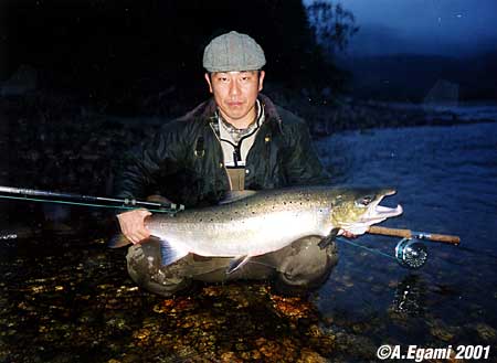 Akira Egami Salmo Salar