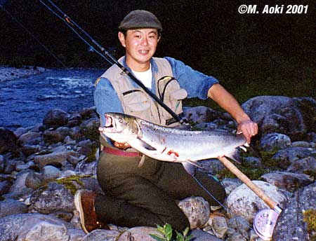 Masahito Aoki Salmo Salar