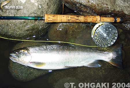 Toshio Ohgaki Yamame Trout