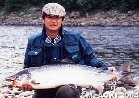 Masahito Aoki Salmo Salar