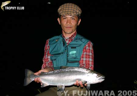 Yoshikazu Fujiwara Cherry Salmon
