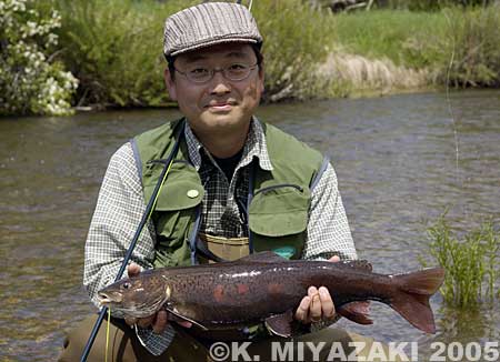 Kyoichi Miyazaki Lenok