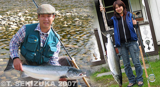 Tetsuya Sekizuka Salmo Salar