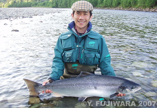 Yoshikazu Fujiwara Atlantic Salmon