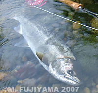 fujiyama_record