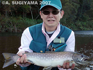 sugiyama