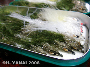 yanai2008