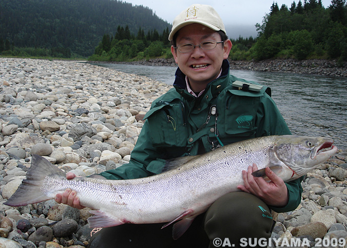 Akihide Sugiyama Salmo Salar