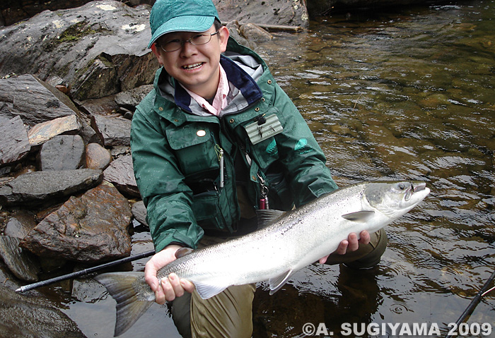 Akihide Sugiyama Salmo Salar