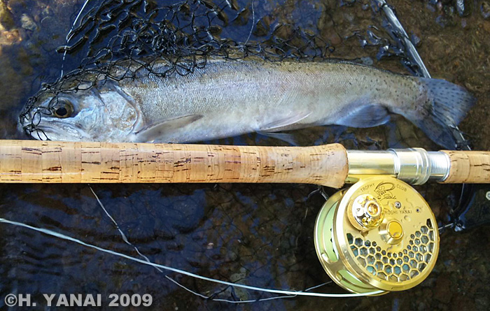 Hiroshi Yanai Rainbow Trout