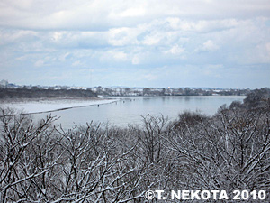 nekota