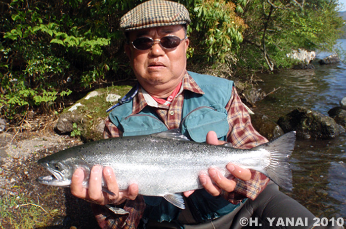 Hiroshi Yanai Cherry Salmon