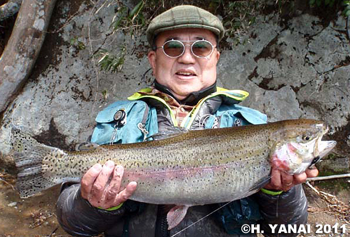 Hiroshi Yanai Rainbow Trout