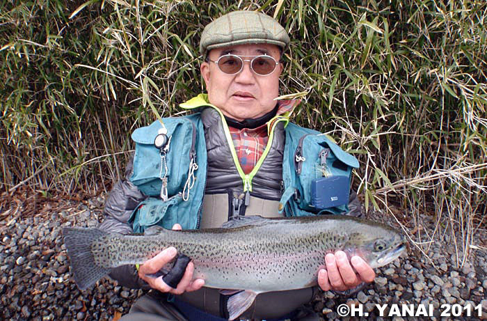 Hiroshi Yanai Rainbow Trout