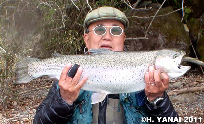 Hiroshi Yanai Rainbow Trout