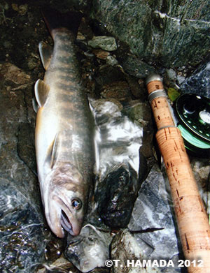 trophy_1