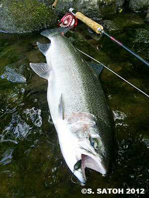 trophy_2