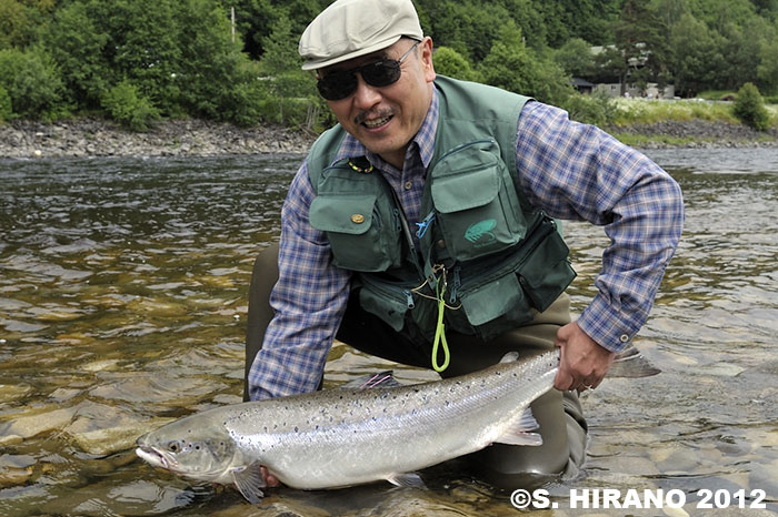 Shusuke Hirano Atlantic Salmon