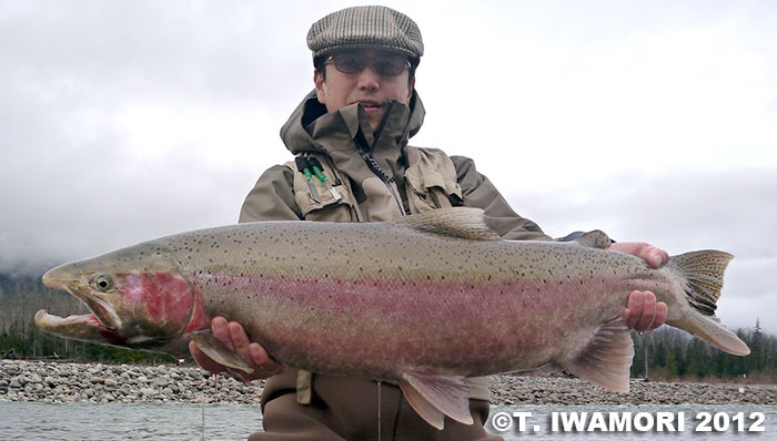 Takashi Iwamori Steelhead Trout