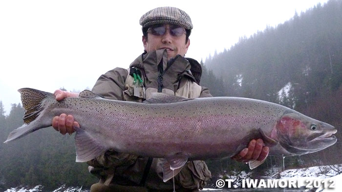 Takashi Iwamori Steelhead Trout