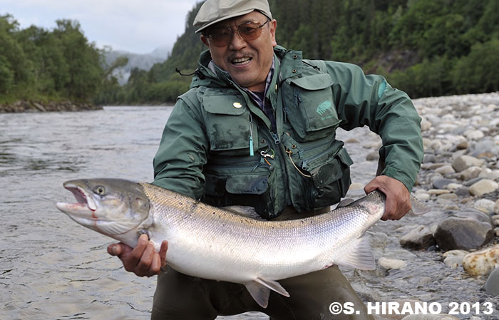 Shusuke Hirano Atlantic Salmon