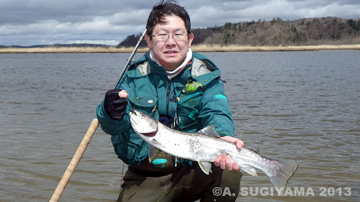 Akihide Sugiyama Sea Run Char