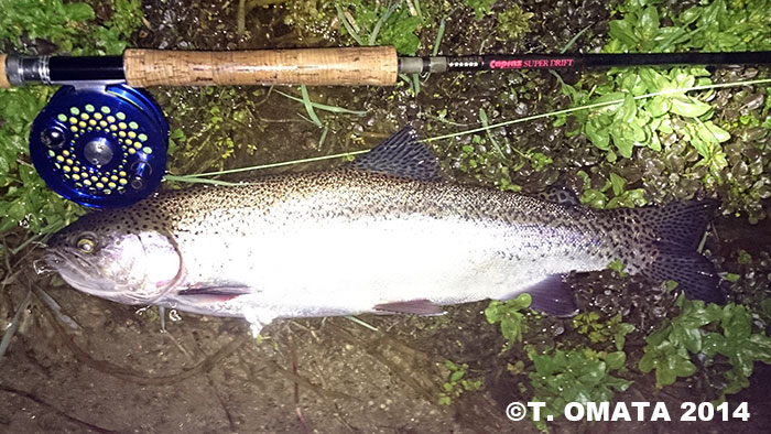 Takayuki Omata Rainbow Trout